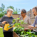 The Importance of Community Services for Seniors in Southern Maryland