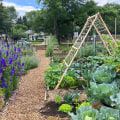 Community Services in Southern Maryland: How to Get Involved with Community Gardening and Urban Farming