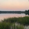 The Importance of Mental Health Services in Southern Maryland