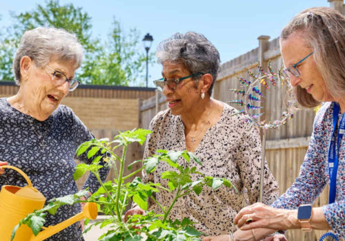 The Importance of Community Services for Seniors in Southern Maryland