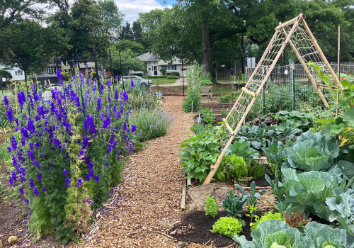 Community Services in Southern Maryland: How to Get Involved with Community Gardening and Urban Farming