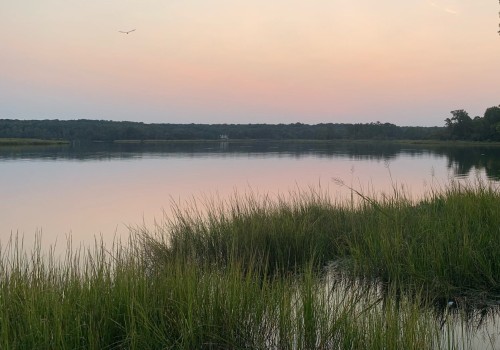 The Importance of Mental Health Services in Southern Maryland